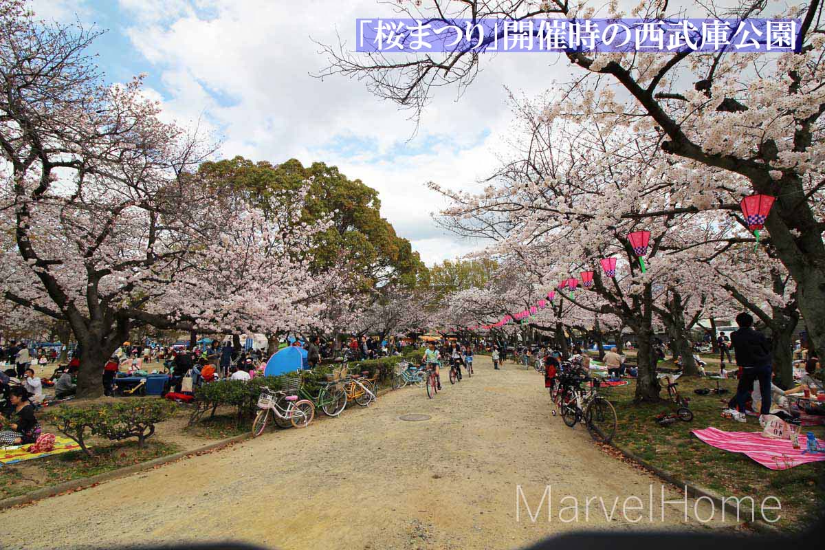 西武庫公園は桜の名所です