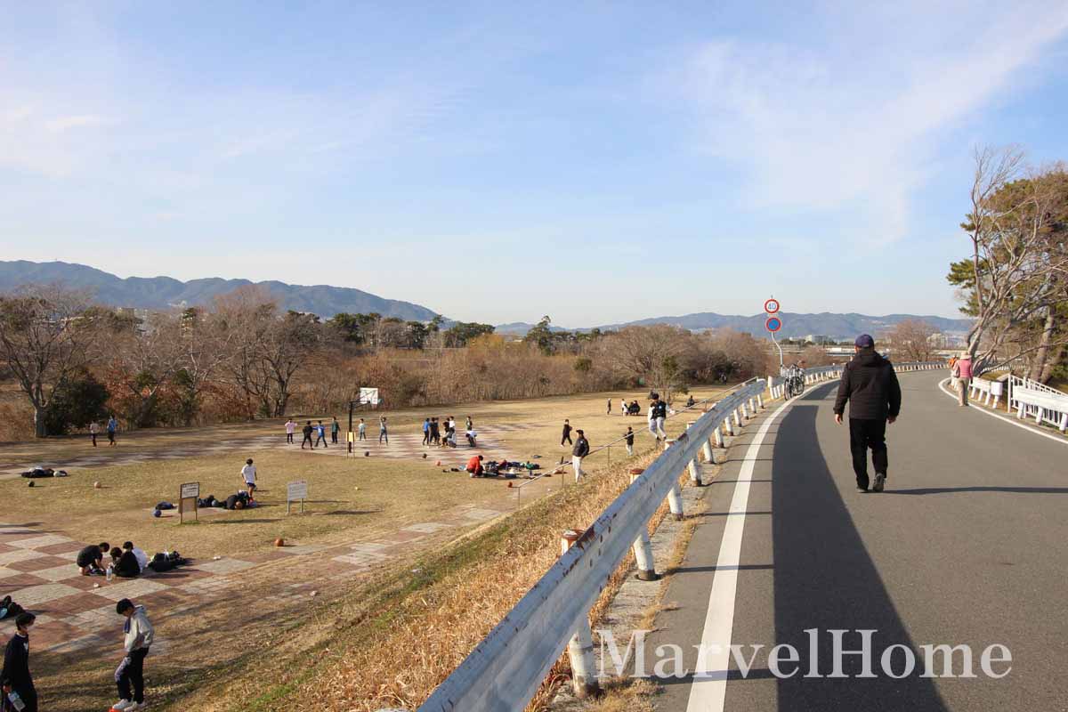 武庫川河川敷のバスケットゴール