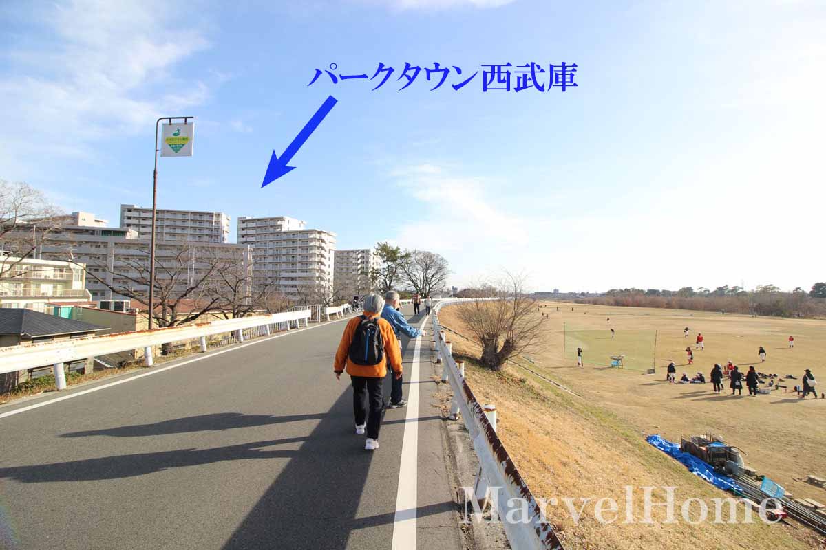 武庫川河川敷の道路