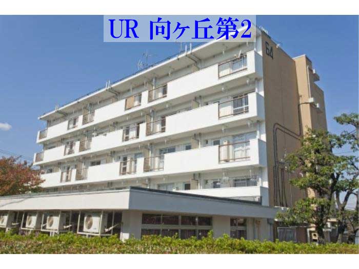 向ヶ丘第2団地 外観